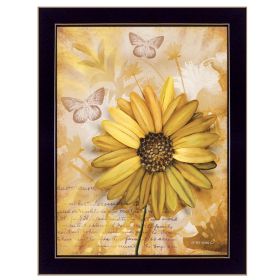 "Flowers & Butterflies II" By Ed Wargo, Ready to Hang Framed Print, Black Frame (Color: as Pic)